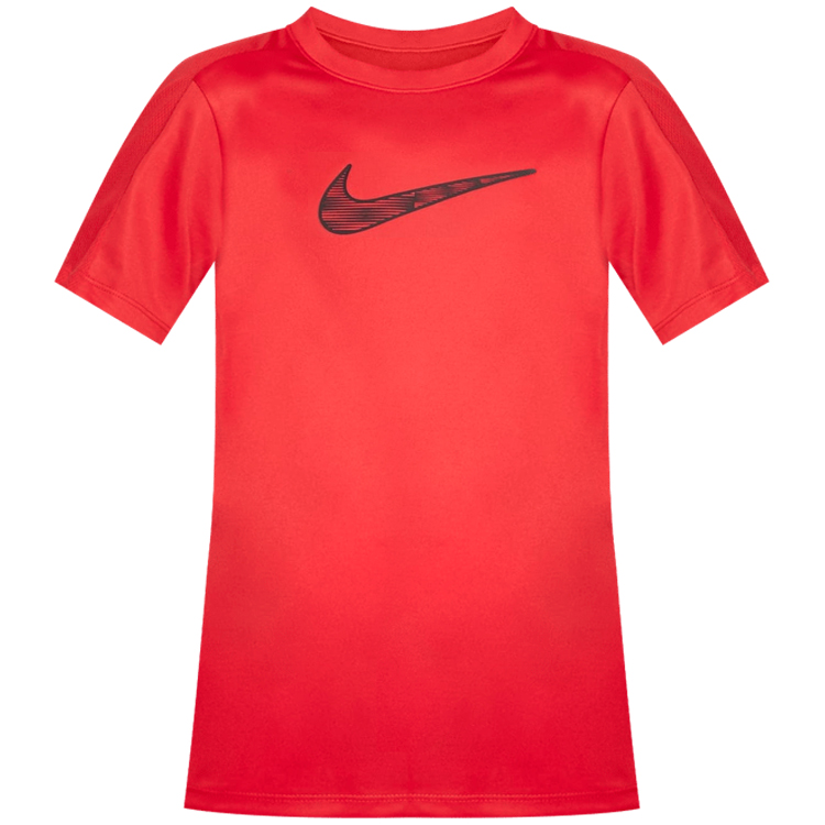 Футболка Nike K NK DF TRPHY23 SS TOP GX photo 