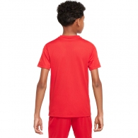 Футболка Nike K NK DF TRPHY23 SS TOP GX thumbnav 4