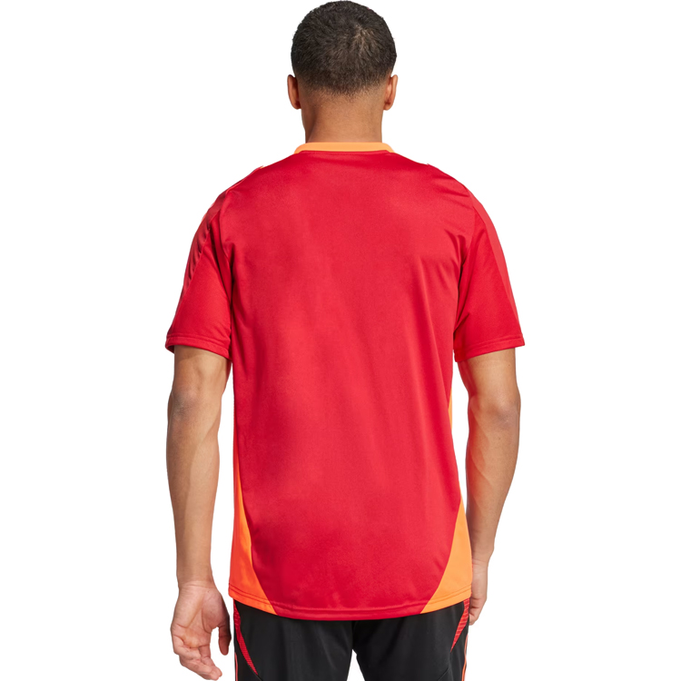 Футболка мужская Adidas TIRO24 C TR JSY S Красный photo 6