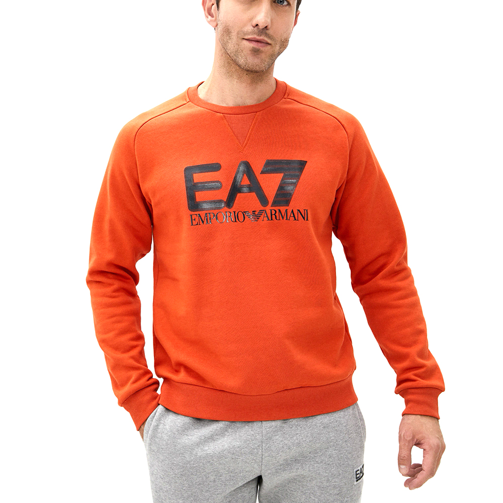 Hanorac EA7 EMPORIO ARMANI SWEATSHIRT M photo 