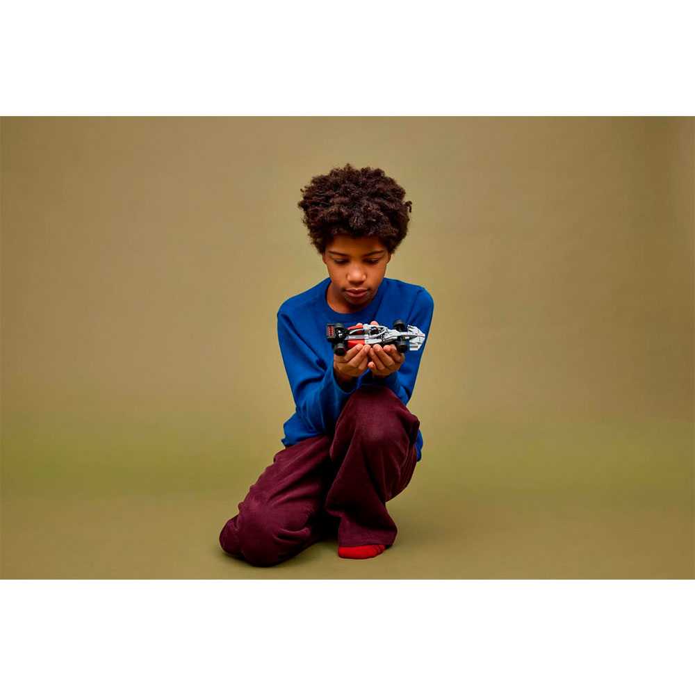 Constructor Lego 77259 photo 11