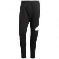 Pantaloni Adidas M FI BOS PT thumbnav