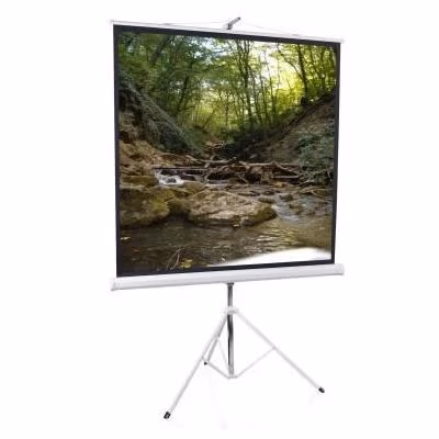 Elite Screens 119"(1:1) 214x214cm Tripod Series Pull Up, White 