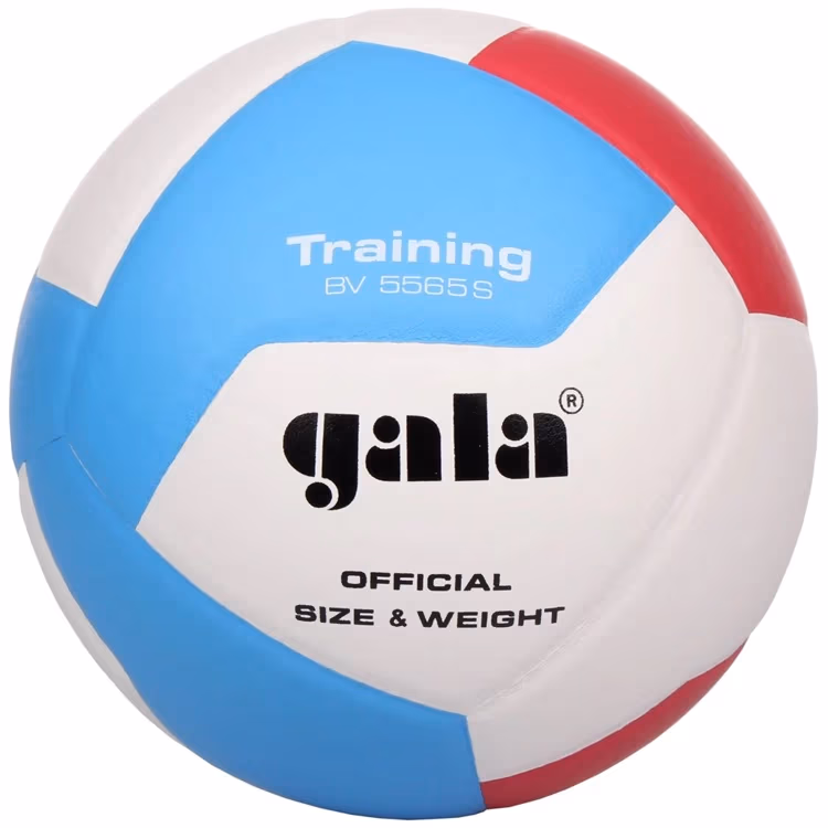 Мяч волейбольный inSPORTline Gala Training 