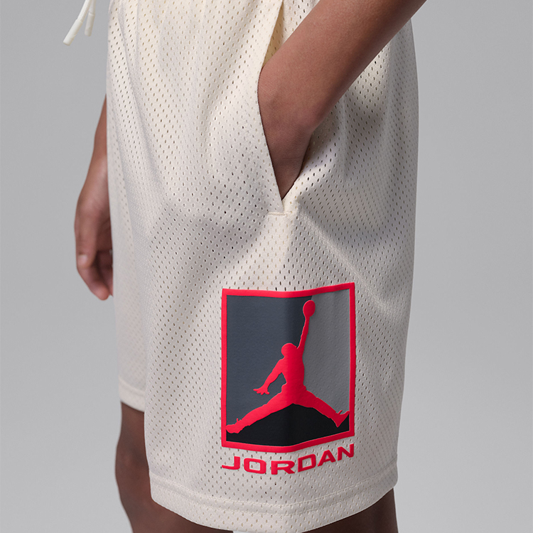 Шорты Nike JORDAN BROOKLYN MESH photo 2