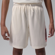 Шорты Nike JORDAN BROOKLYN MESH thumbnav 1
