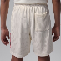 Шорты Nike JORDAN BROOKLYN MESH thumbnav 4