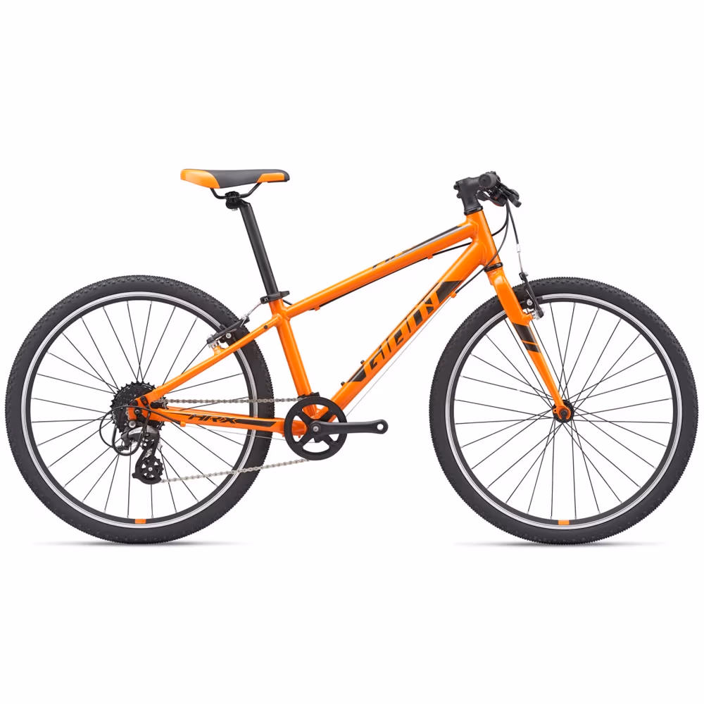 Велосипед детский Giant ARX 