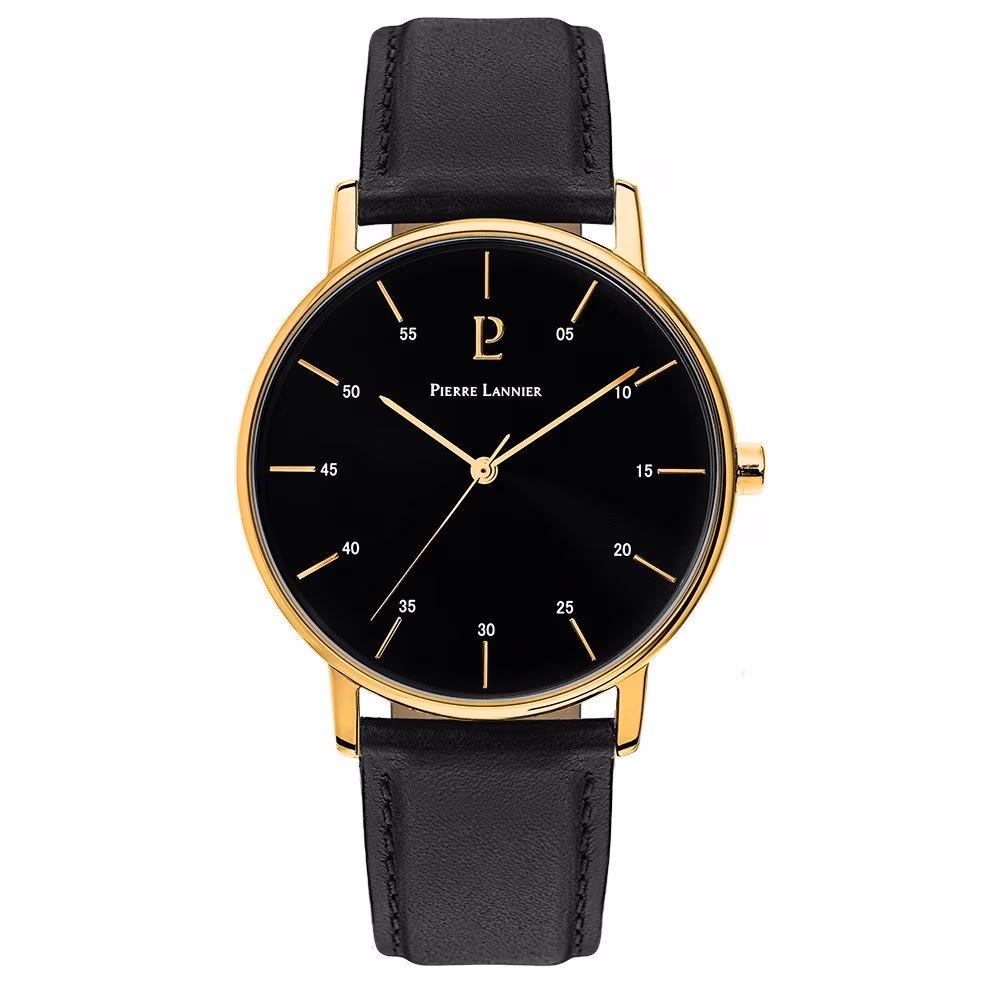 Мужские часы Pierre Lannier 200G033