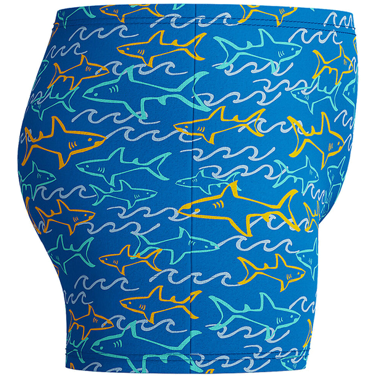 Плавки-шорты Speedo DIGI ALVR AQSHRT IM photo 2