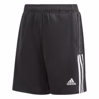 Шорты Adidas TIRO21 TR SHO Y