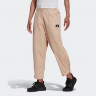 Брюки Adidas WIP Tw Pant thumbnav 2