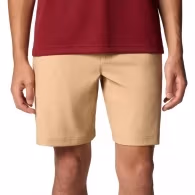 Шорты Columbia Black Mesa Chino Short