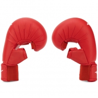 Manusi pentru karate Mizuno KT Hand PC thumbnav 3
