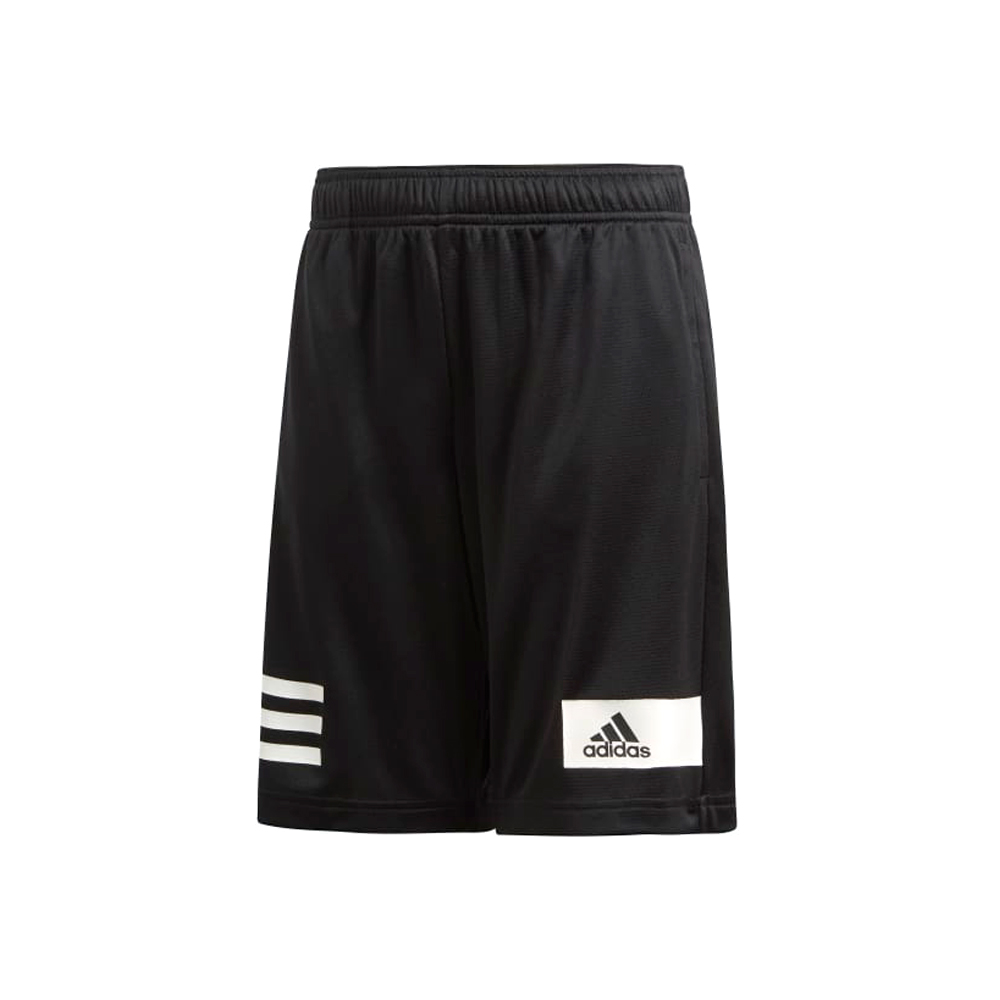 Sorti Adidas YB TR COOL SH photo 