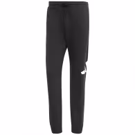 Брюки Adidas M BL FT PT