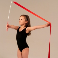 Baston gimnastic cu panglica Grace Dance Ribbon with stick thumbnav 2