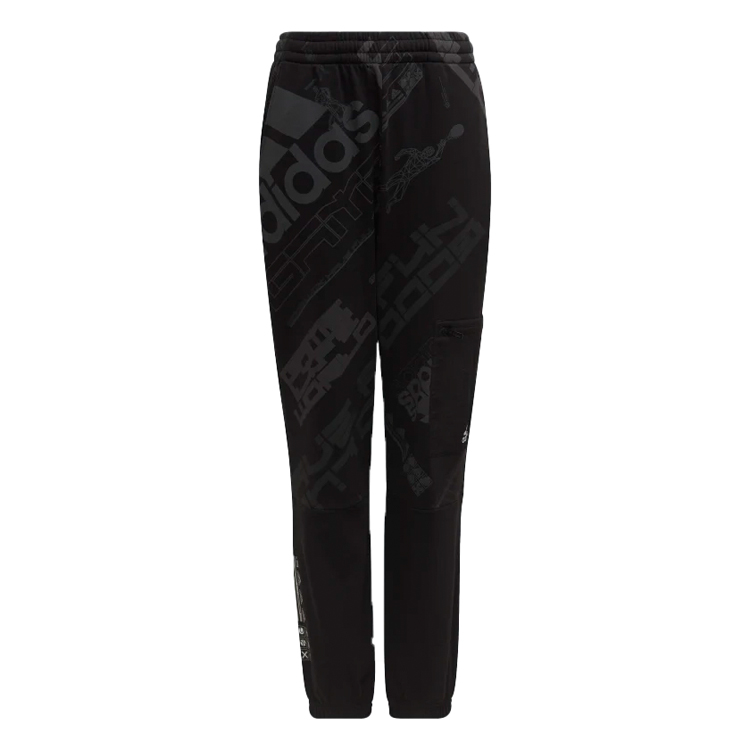 Брюки Adidas U ARKD3 PANT photo 