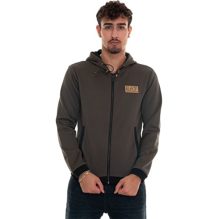 Мужская Толстовка EA7 EMPORIO ARMANI SWEATSHIRT S Серый photo 6