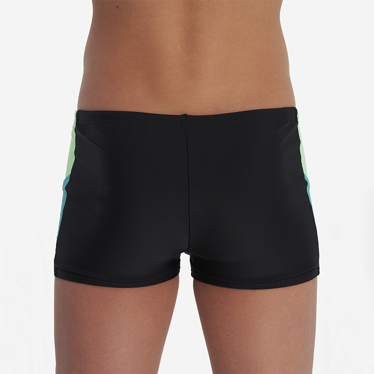 Slipi-sorti Speedo DIVE AQUASHORT photo 2