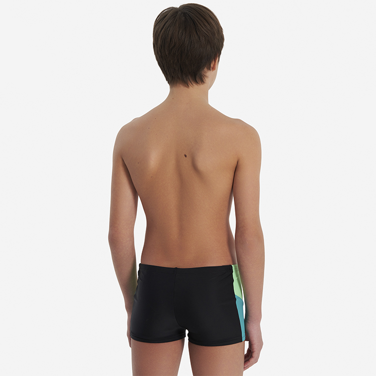 Slipi-sorti Speedo DIVE AQUASHORT photo 5