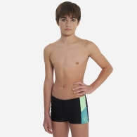 Slipi-sorti Speedo DIVE AQUASHORT thumbnav 1