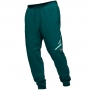 Брюки Nike M J ESS FLC BASELINE PANT thumbnav