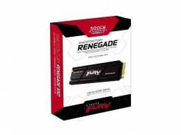 M.2 NVMe SSD Kingston Fury Renegade 500GB (SFYRSK/500G) thumbnav 3