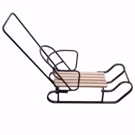 Sanie Sport Regal