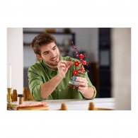 Constructor Lego 10369 thumbnav 8