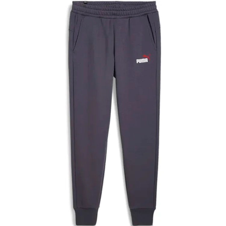 Брюки Puma ESS+ 2 Col Logo Pants FL photo 