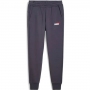 Pantaloni Puma ESS+ 2 Col Logo Pants FL thumbnav