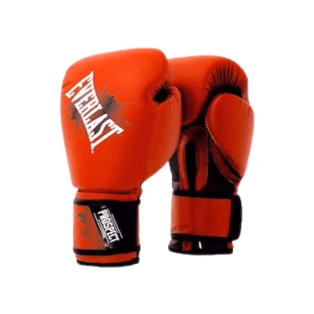 Перчатки для бокса Everlast PROSPECT GLOVES 