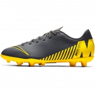 Бутсы Nike JR VAPOR 12 CLUB GS FG/MG thumbnav