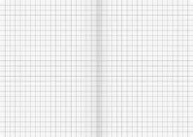 Carnet A5 maro FACT! Plus patratele 96 de foi Brunnen thumbnav 2