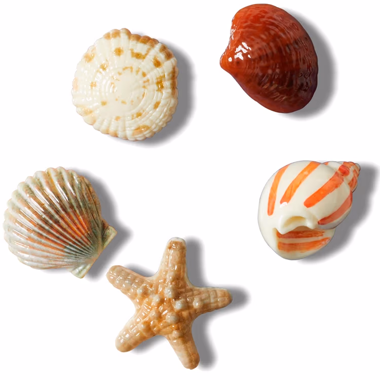 Джибитсы Crocs She Sells Seashells 5 Pack 