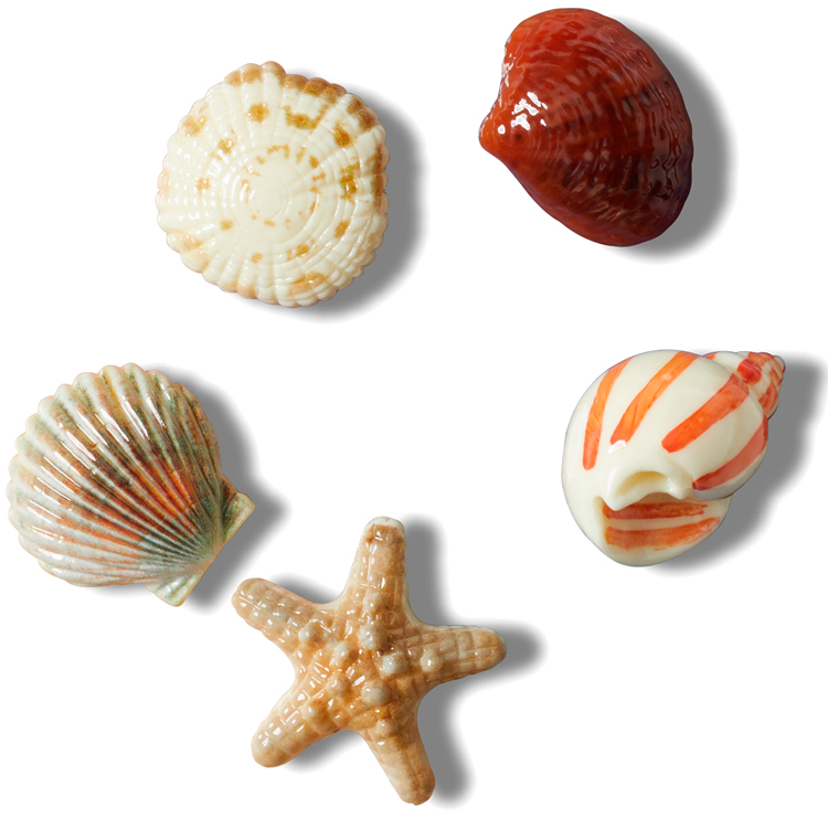 Джибитсы Crocs She Sells Seashells 5 Pack photo 