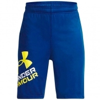 Sorti Under Armour UA BGS PROTOTYPE 2.0 LOGO SHORTS