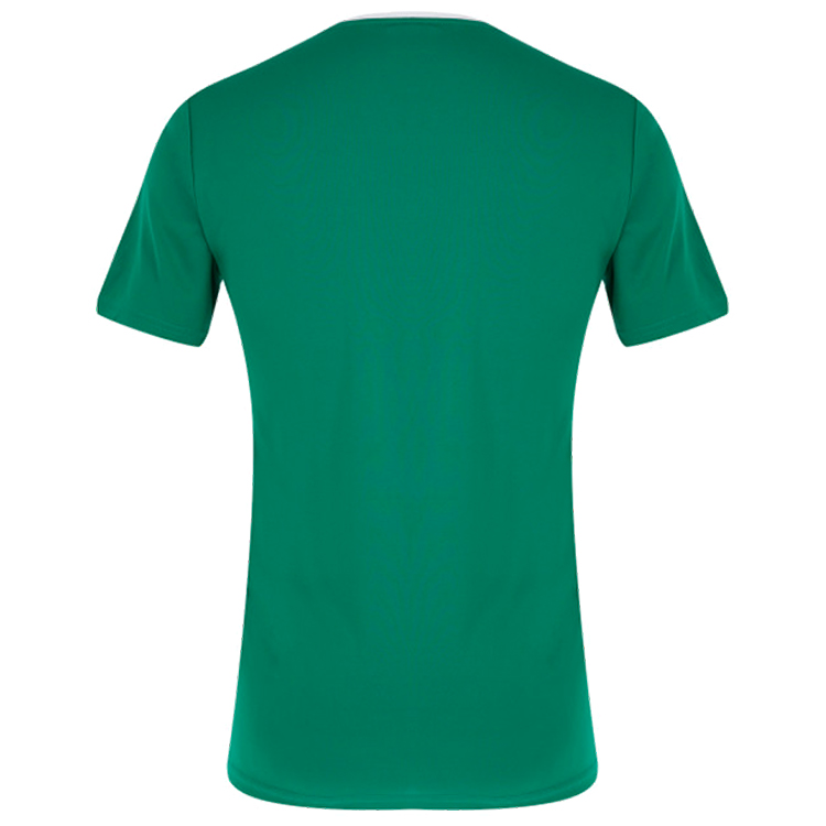 Tricou bărbătesc Demix TEE 50 Verde photo 3