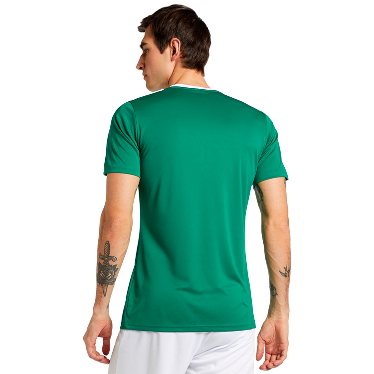 Tricou bărbătesc Demix TEE 50 Verde photo 5