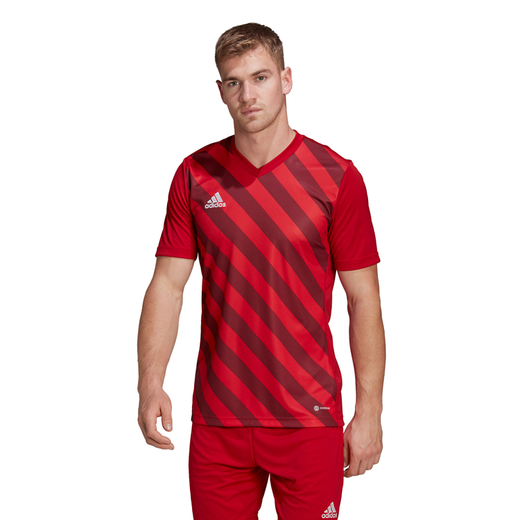 Футболка мужская Adidas ENT22 GFX JSY S Красный photo 4