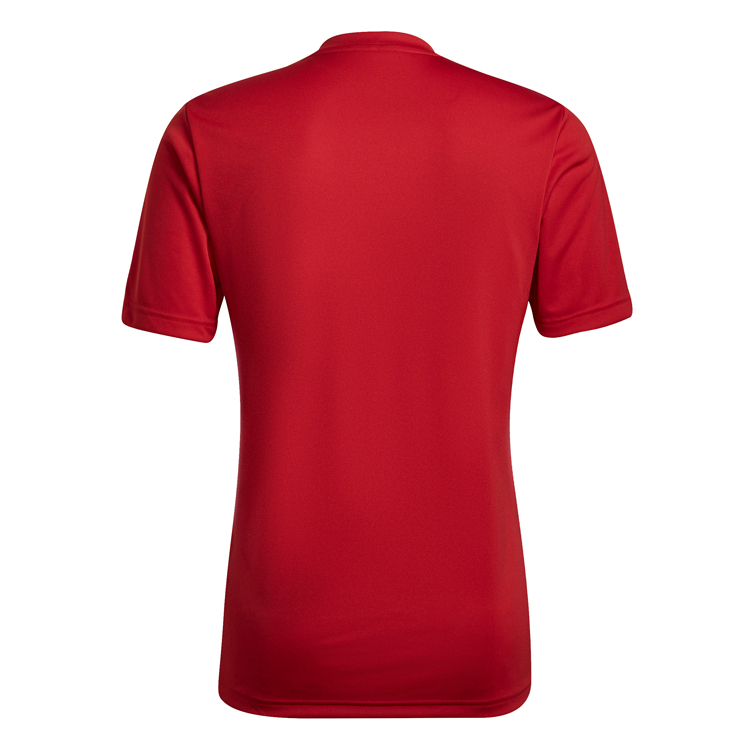 Футболка мужская Adidas ENT22 GFX JSY S Красный photo 6