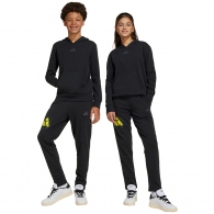 Брюки Adidas J SMI PANT thumbnav