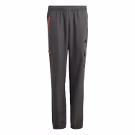 Pantaloni Adidas U CE Q2 CRGO PT