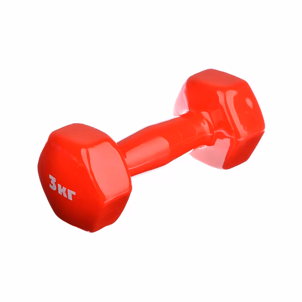 Gantera 3 kg SILAPRO Dumbbell 3 kg 