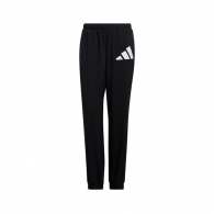 Брюки Adidas WOVEN BOS PANT thumbnav 1