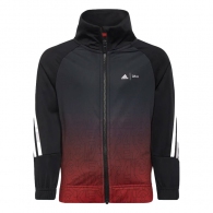 Толстовка Adidas LK DY MM CU thumbnav