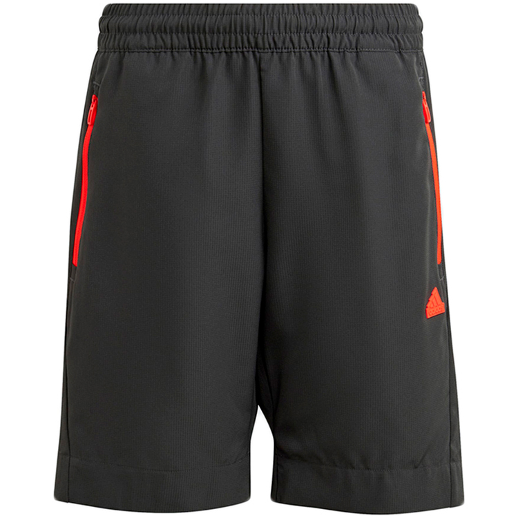 Sorti Adidas U CE Q2 SHORT photo 