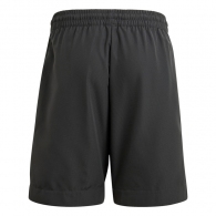 Шорты Adidas U CE Q2 SHORT thumbnav 2