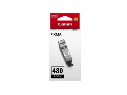 Ink Cartridge Canon PGI-480 PGBK (2077C001) for Canon PIXMA TS6140, TS8140, TS9140, TR7540, TR8540, 200р. thumbnav 1
